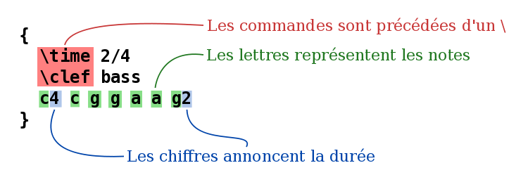 text-input-1-annotate-fr